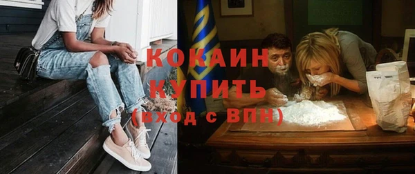 мет Дмитриев