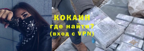 тгк Дмитров