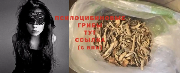 тгк Дмитров