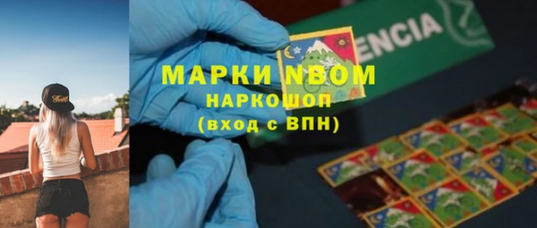 мет Дмитриев