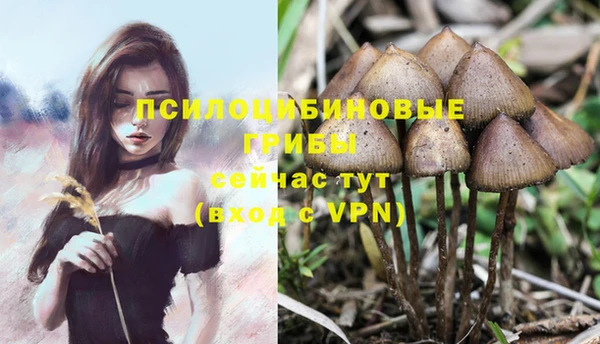 гашишное масло Гусев