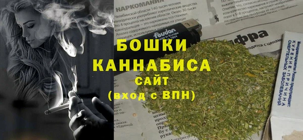 тгк Дмитров