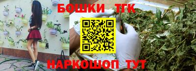 Альфа ПВП Пушкино