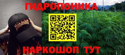 Альфа ПВП Пушкино
