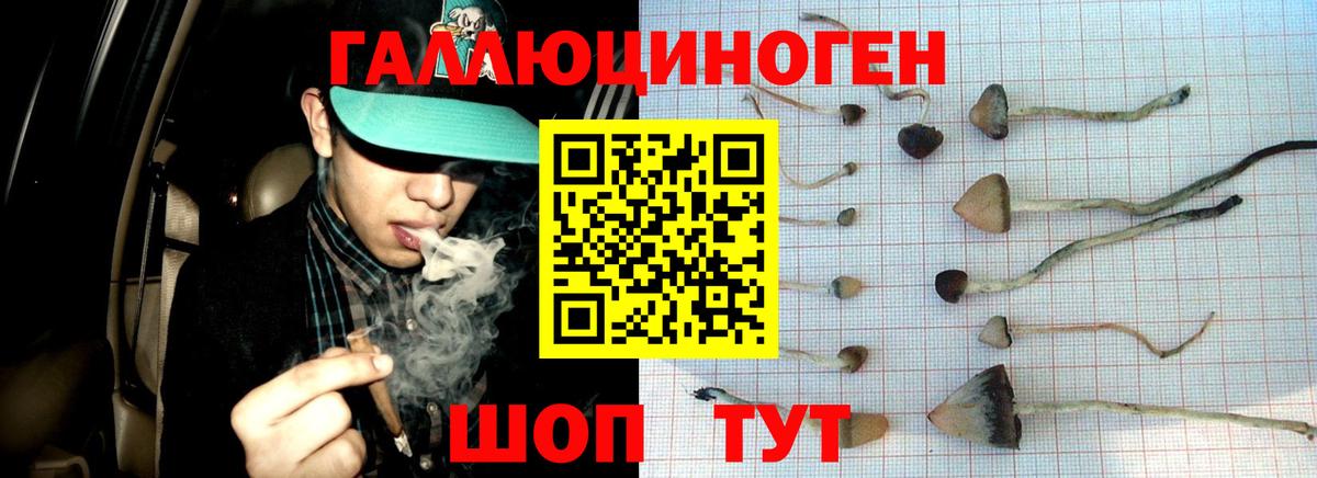 Псилоцибиновые грибы GOLDEN TEACHER Узловая