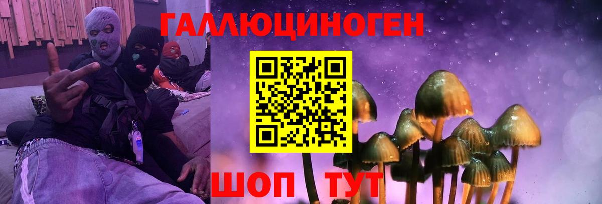 Галлюциногенные грибы Magic Shrooms  Псилоцибиновые грибы мухоморы  что такое   Вход с VPN  Узловая 